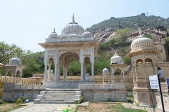 d-i-India-2014-2014-03-25-249
