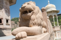 d-i-India-2014-2014-03-25-250