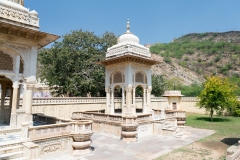 d-i-India-2014-2014-03-25-251