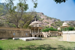 d-i-India-2014-2014-03-25-254