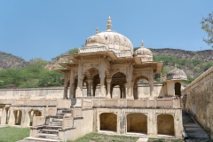 d-i-India-2014-2014-03-25-255