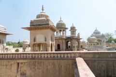 d-i-India-2014-2014-03-25-262