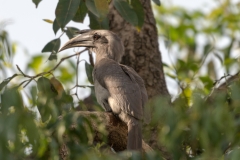 d-i-India-2014-2014-03-25-272