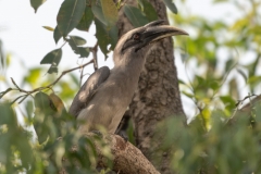 d-i-India-2014-2014-03-25-273