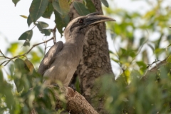 d-i-India-2014-2014-03-25-274