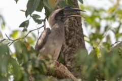 d-i-India-2014-2014-03-25-275