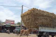 d-i-India-2014-2014-03-27-296