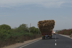 d-i-India-2014-2014-03-27-300