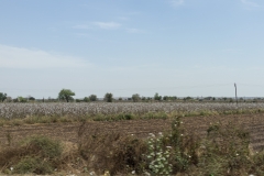 d-i-India-2014-2014-03-27-304