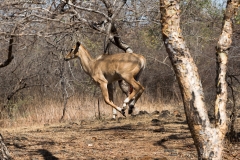 d-i-India-2014-2014-03-28-329