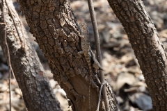 d-i-India-2014-2014-03-28-334
