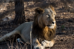 d-i-India-2014-2014-03-28-344