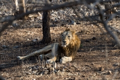 d-i-India-2014-2014-03-28-345