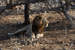 d-i-India-2014-2014-03-28-346