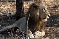 d-i-India-2014-2014-03-28-347