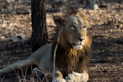 d-i-India-2014-2014-03-28-348