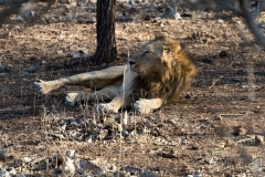 d-i-India-2014-2014-03-28-351