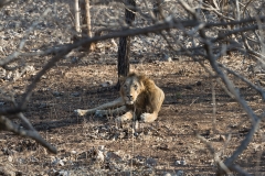 d-i-India-2014-2014-03-28-352
