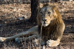 d-i-India-2014-2014-03-28-354