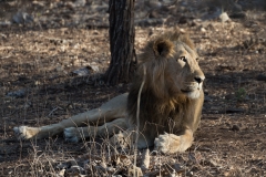 d-i-India-2014-2014-03-28-355