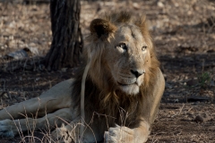 d-i-India-2014-2014-03-28-358