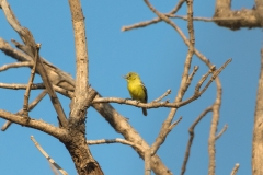 d-i-India-2014-2014-03-28-361