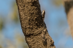 d-i-India-2014-2014-03-28-362
