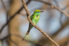 d-i-India-2014-2014-03-28-364