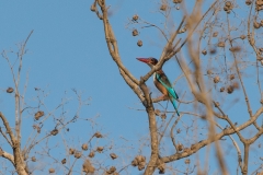 d-i-India-2014-2014-03-28-365
