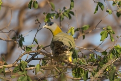 d-i-India-2014-2014-03-28-370