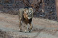 d-i-India-2014-2014-03-29-372
