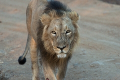d-i-India-2014-2014-03-29-373