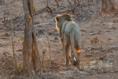 d-i-India-2014-2014-03-29-378