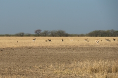 d-i-India-2014-2014-03-30-383