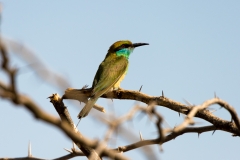 d-i-India-2014-2014-03-30-403