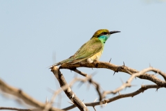 d-i-India-2014-2014-03-30-404