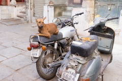 d-i-India-2014-2014-04-01-442