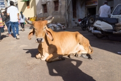 d-i-India-2014-2014-04-01-452