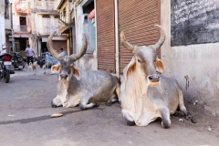 d-i-India-2014-2014-04-01-453