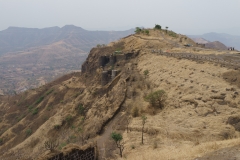 d-i-India-2014-2014-04-06-487