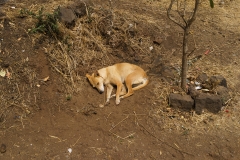 d-i-India-2014-2014-04-06-489
