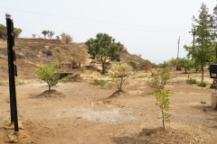 d-i-India-2014-2014-04-06-492