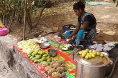d-i-India-2014-2014-04-06-493