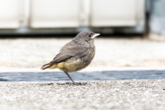 AHI-2014-05-25-18-56-29