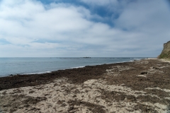AHI-2014-09-13-14-09-16