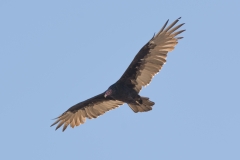 AHI-2014-09-01-11-03-25