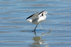 AHI-2014-09-09-13-50-00