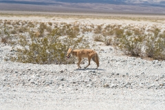 AHI-2014-09-08-14-16-04