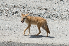 AHI-2014-09-08-14-16-20