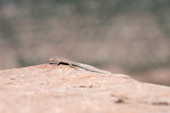 AHI-2014-09-03-12-26-16